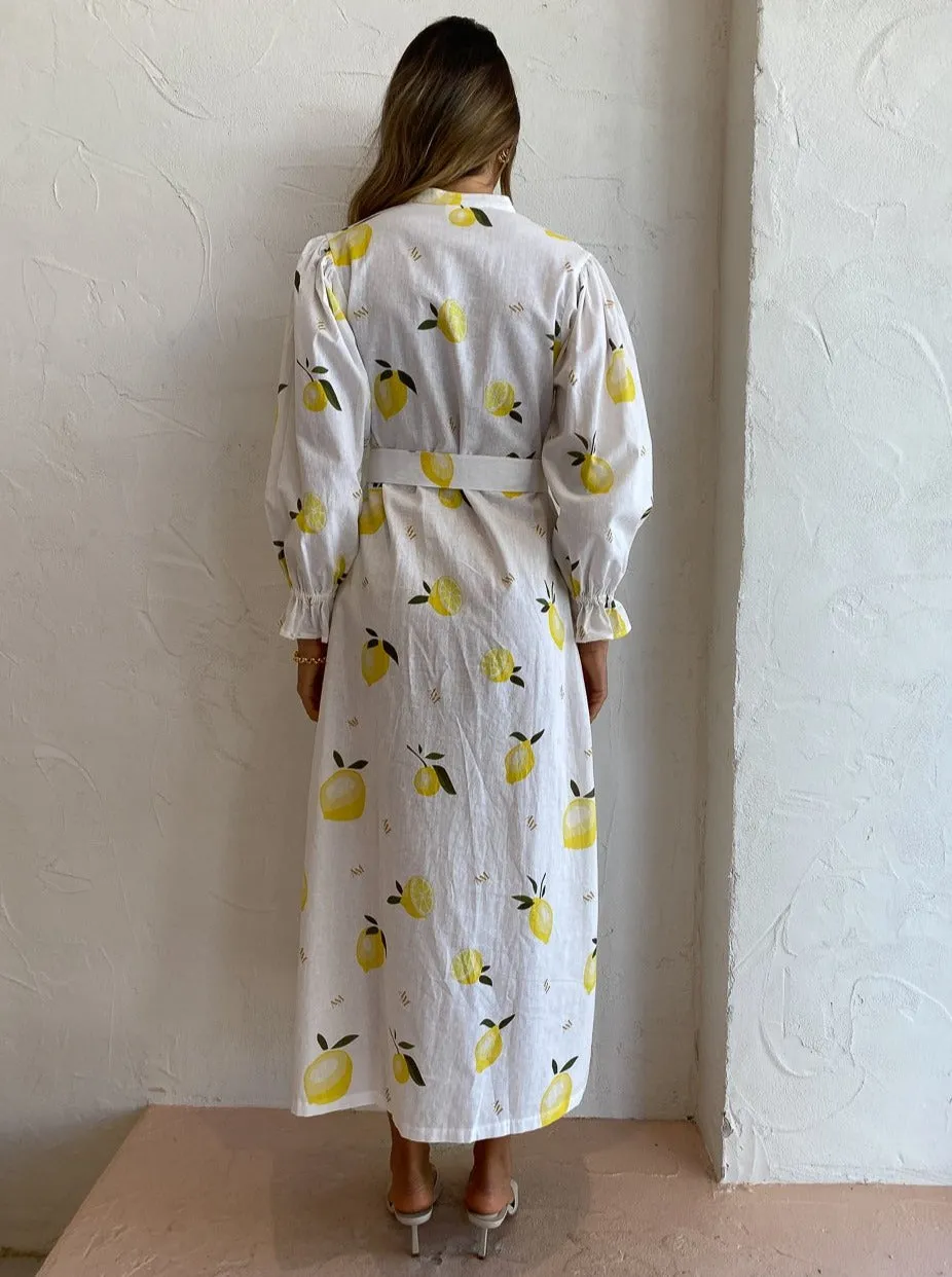 Ambra Maddalena Raphaella Dress in Lemonata Print