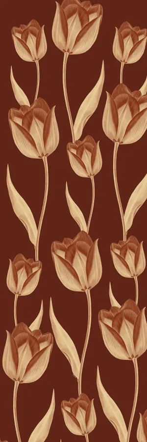 Gentle Tulip