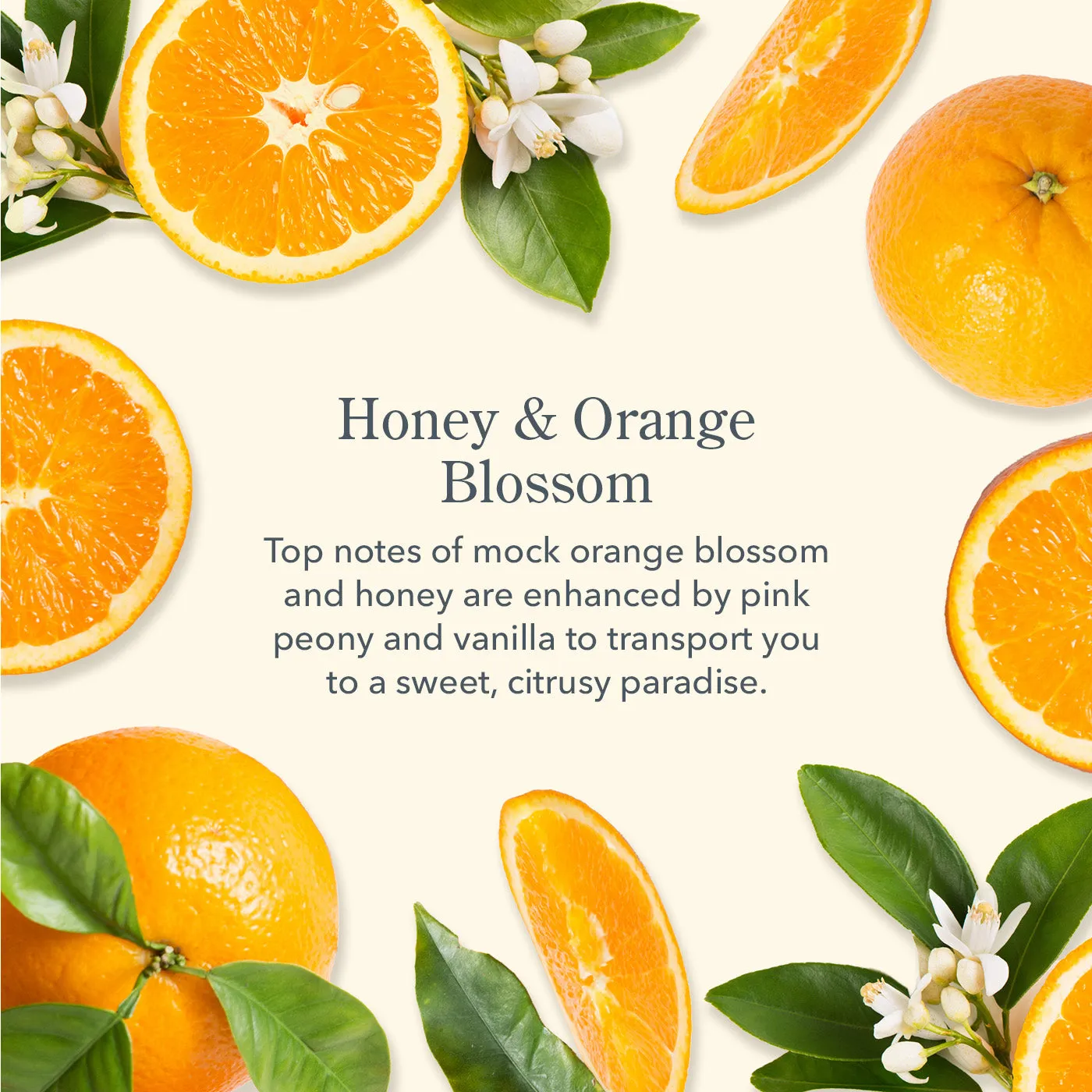 Honey & Orange Blossom Face Wipes Set of 4