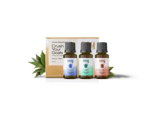 Rey Naturals 100% Natural Aroma Diffuser Essential Oil Set - Rest Focus Inspire - 3 Aromatherapy Blends for Home Fragrance | Stress relief and Headache relief (Lemon, Ylang Ylang & Lavender)